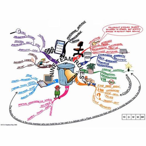 Pic_map Nine Team Roles